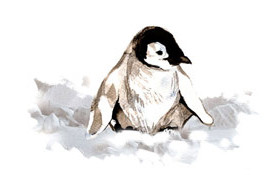 Pingviini kuva
